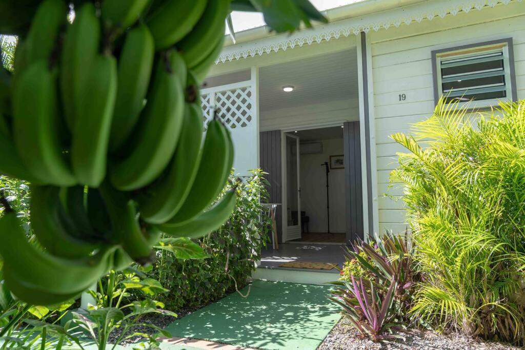 Perle Des Caraibes, Bungalow Moderne N°18 Le Gosier  Esterno foto
