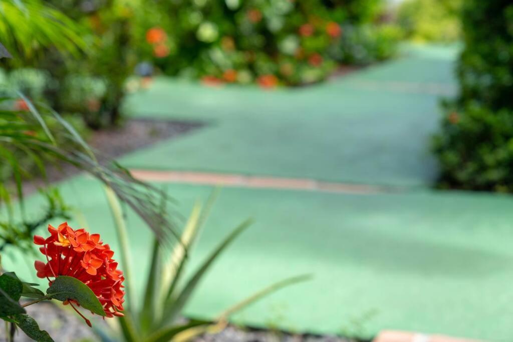 Perle Des Caraibes, Bungalow Moderne N°18 Le Gosier  Esterno foto